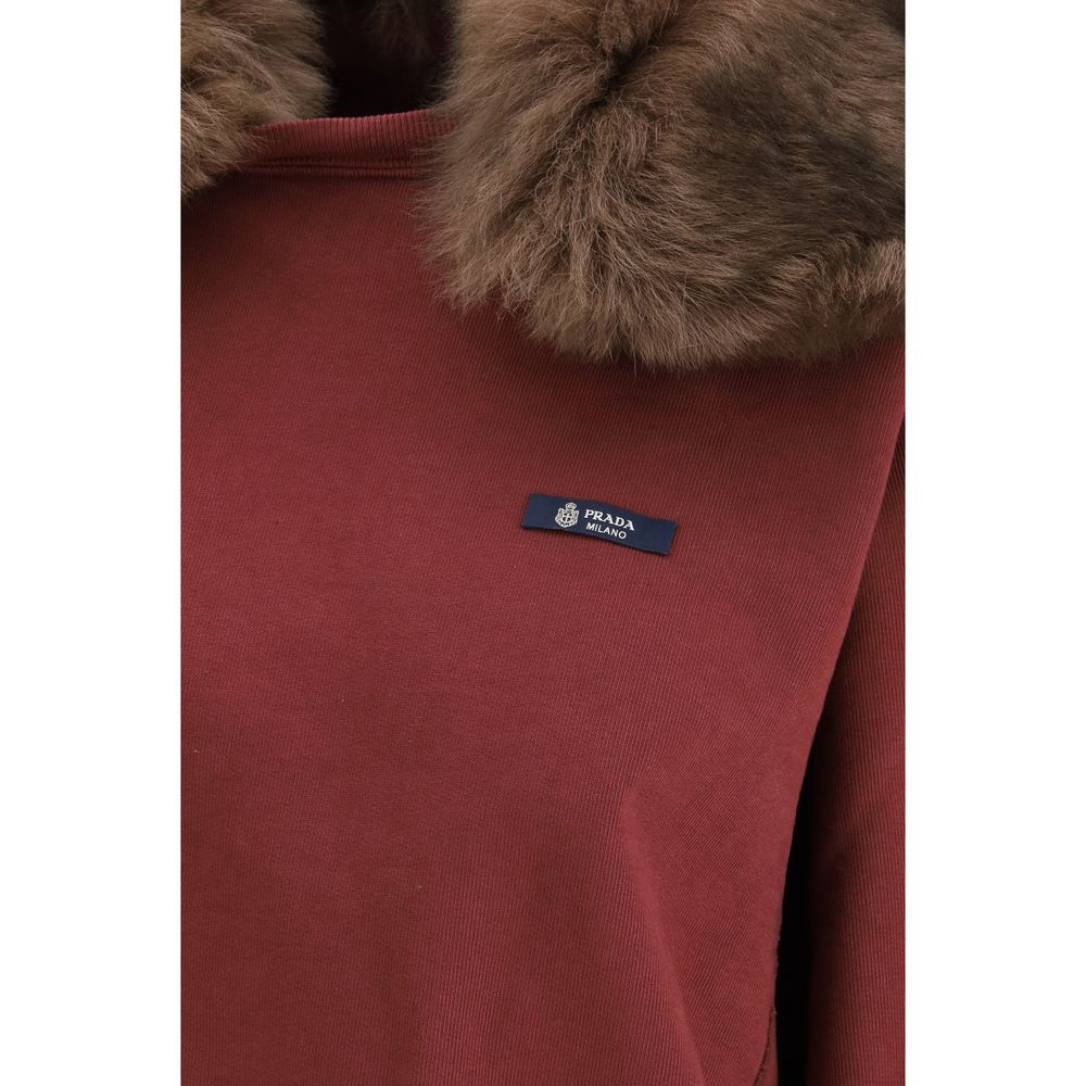 Bordeaux Cotton Sweatshirt