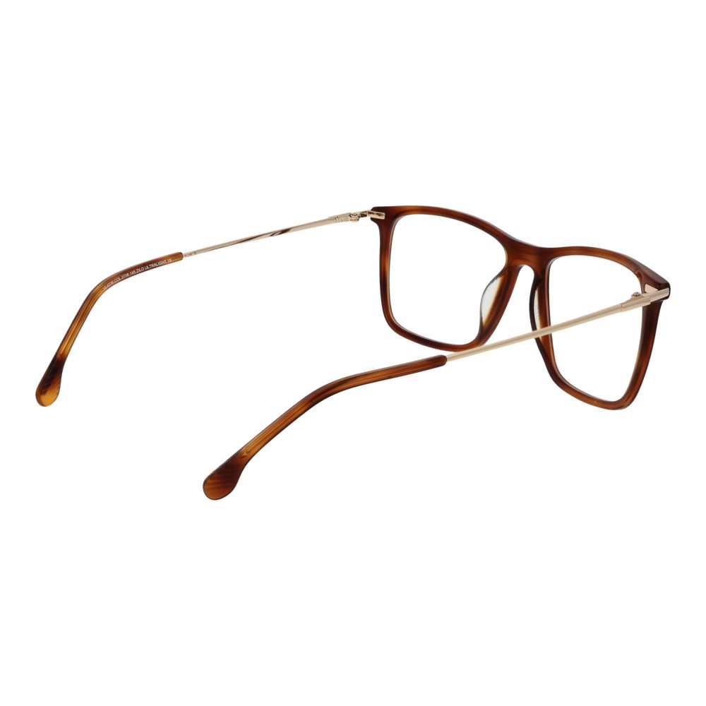 Brown Metal Glasses (Frames)