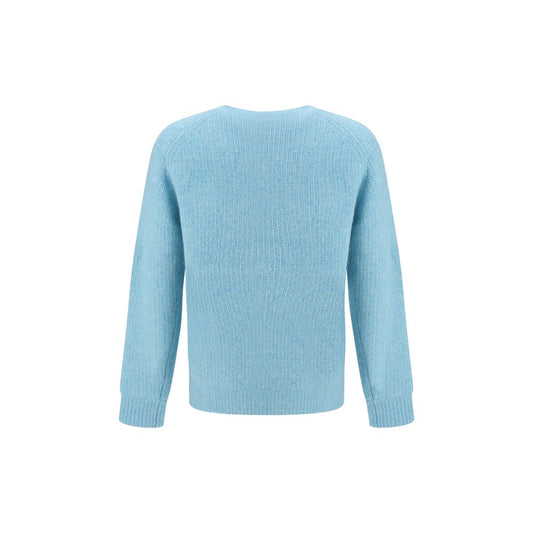 Light Blue Alpaca Vicugna Pacos Sweatshirt