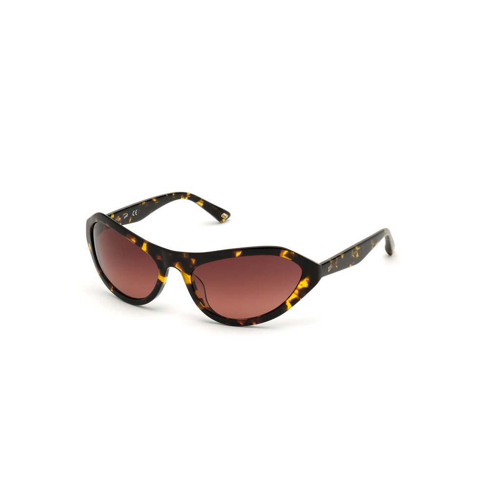 Brown Plastic Sunglasses
