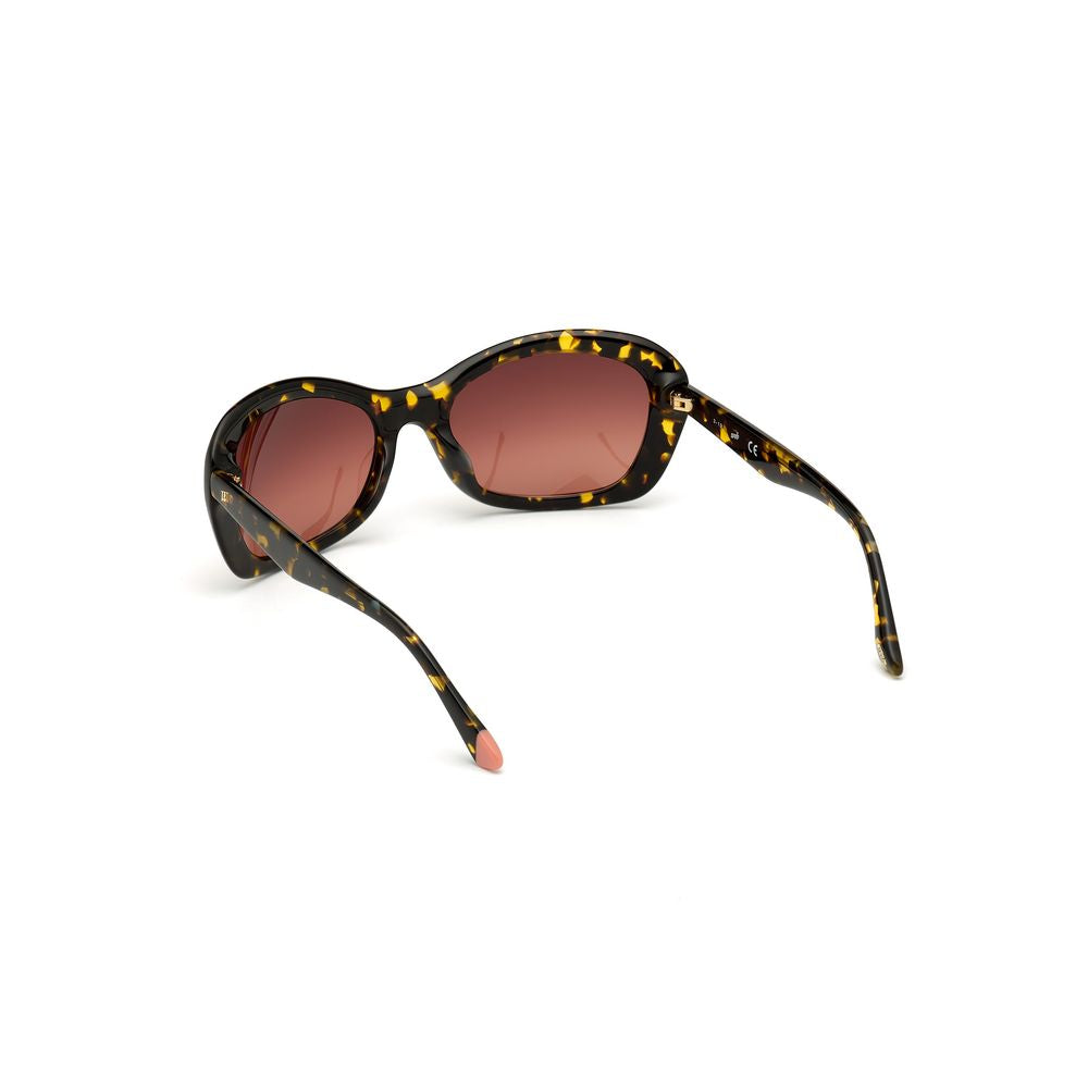 Brown Plastic Sunglasses