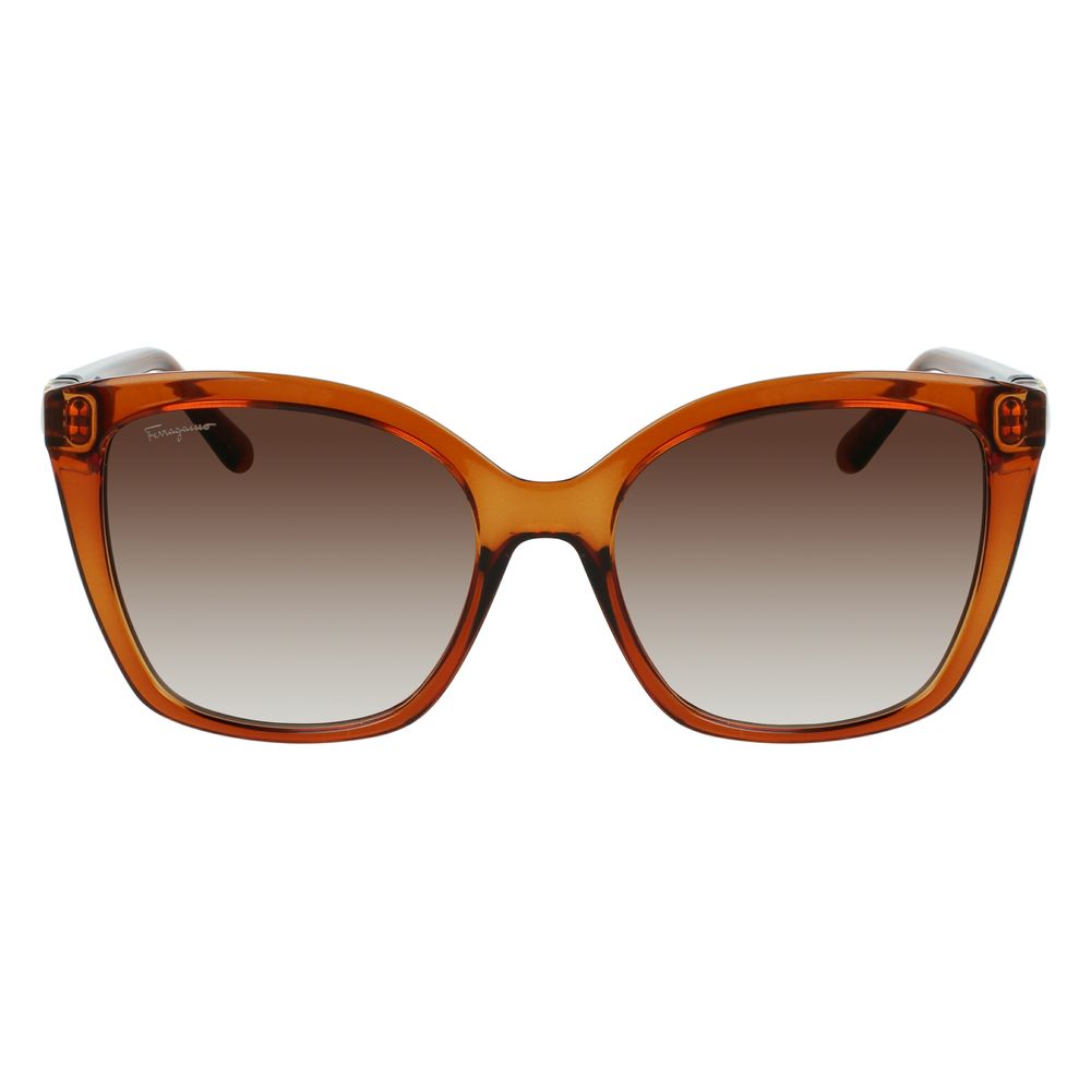 Brown Injected Sunglasses