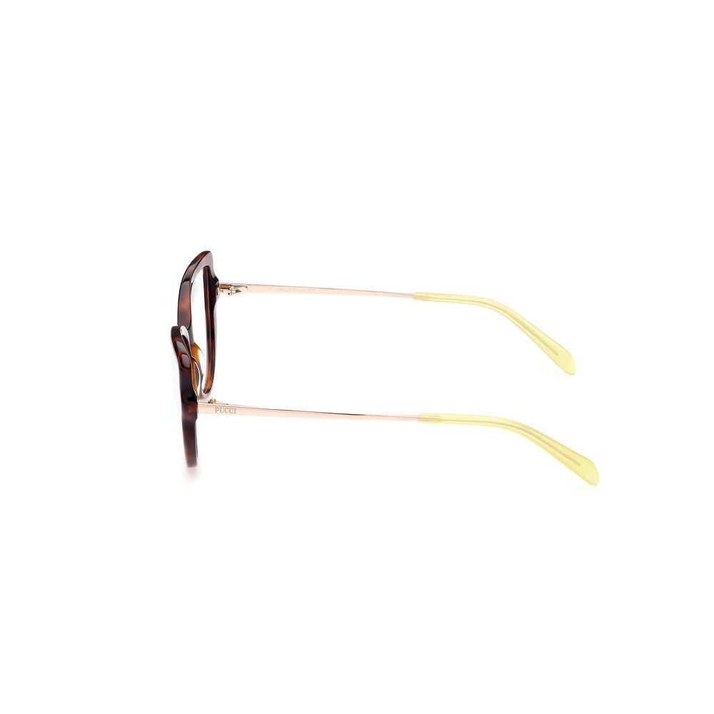 Brown Acetate Frames