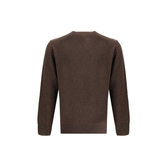 Brown Alpaca Vicugna Pacos Sweatshirt