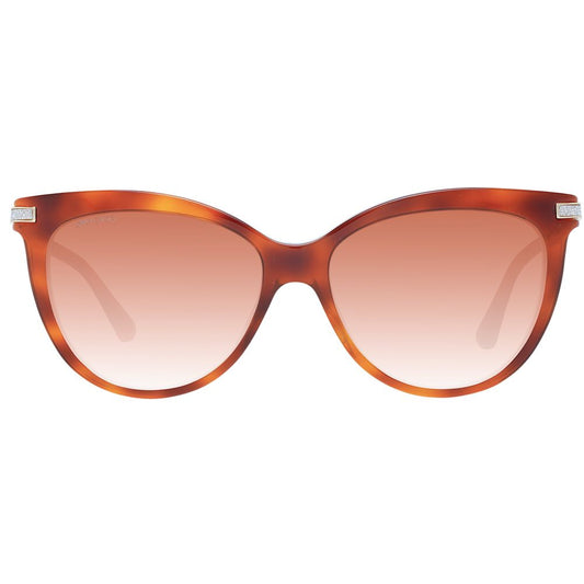 Brown Plastic Sunglasses