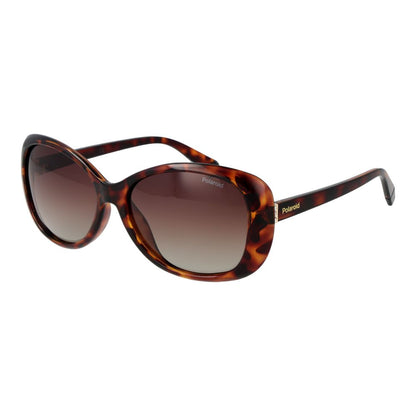Brown Plastic Sunglasses